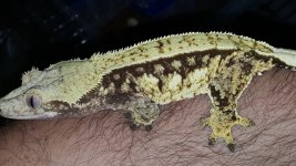 20160727_205720.jpg
