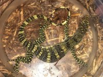 Sulfur Water Monitor.jpg
