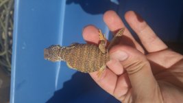 20160229_130254.jpg