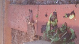20160304_192901.jpg