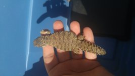 20160229_130417.jpg