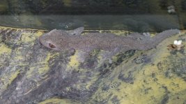 20160407_191207.jpg