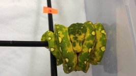 GTP#3.jpg