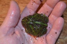 DSC_0021.jpg