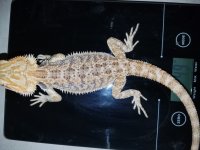 20160419_111155.jpg