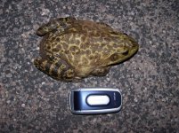 080707 013.jpg
