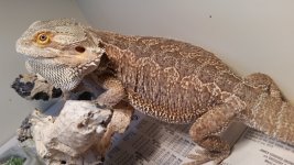 20160307_125404.jpg
