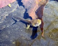 IMG_3696.jpg