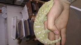 1433037721347.jpg
