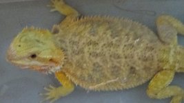 DSC00892.jpg
