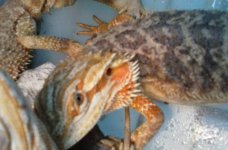 20160708_122546.jpg