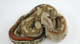 IMG_0066-1-1-1-1.jpg