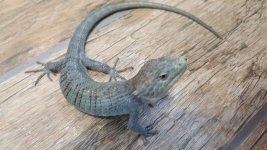20160621_203957.jpg