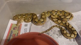 20160306_153050.jpg