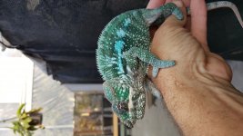 20160219_165305.jpg
