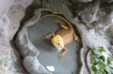 20160706_134618.jpg