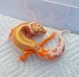 20160701_183739.jpg