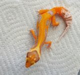 20160704_151458.jpg