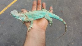 20160223_130401.jpg