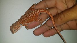 20150726_142833.jpg