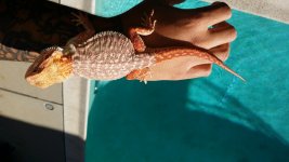 20160126_131655.jpg
