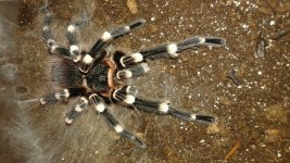 20160529_205927.jpg