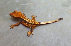 20160521_204932.jpg