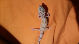 20160406_170518.jpg