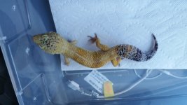 20160406_105444.jpg