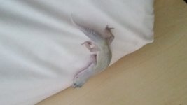 20160421_084928.jpg