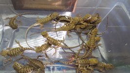 20160205_093155.jpg