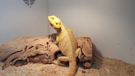 male4.jpg