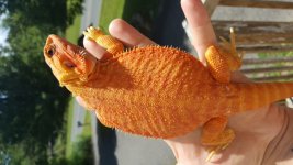 20160617_145634.jpg