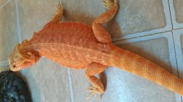 20160617_145805.jpg