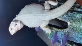 20160709_112415.jpg