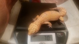 20160627_190951.jpg