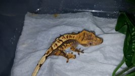 20160223_010339.jpg