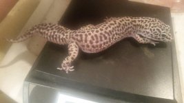 20160627_190850.jpg