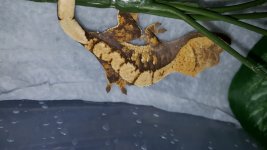 20160223_005931.jpg