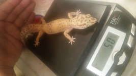 20160627_191025.jpg