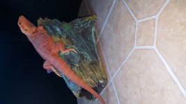 20160629_132816.jpg