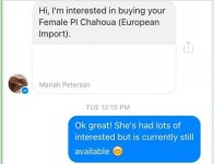 Screenshot (118).jpg
