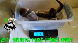 PicsArt_07-19-06.01.25.jpg