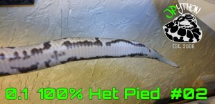 PicsArt_07-19-06.33.08.jpg