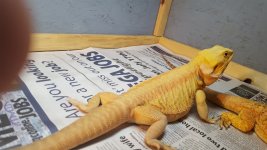 20160723_162959.jpg