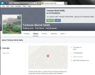 Tortworld5.jpg