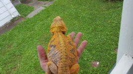 20160717_115937.jpg