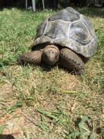 IMG_0185.JPG