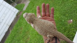20160717_115521.jpg