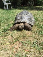 IMG_0179.JPG